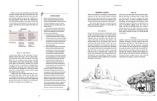 Load image into Gallery viewer, Cornish Vaesen