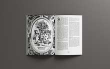 Load image into Gallery viewer, Through the Looking-Glass