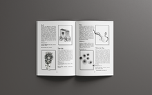 Load image into Gallery viewer, Through the Looking-Glass