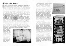 Load image into Gallery viewer, Peculiar Children